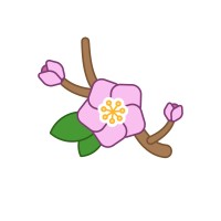 Aba Centers Of Virginia