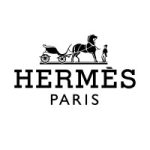 hermes_group_logo