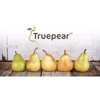 Truepear Dental